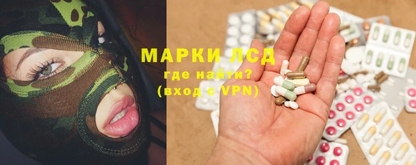 прущая мука Бородино